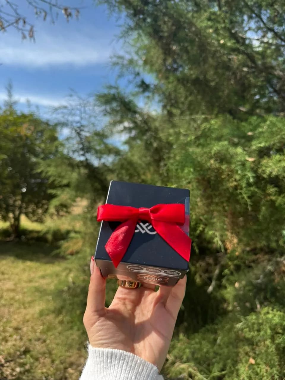 Chocolate Turin de regalo view 1